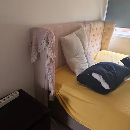 柠檬树